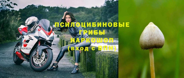 прущий лед Белокуриха
