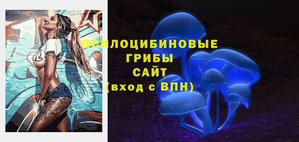 прущий лед Белокуриха
